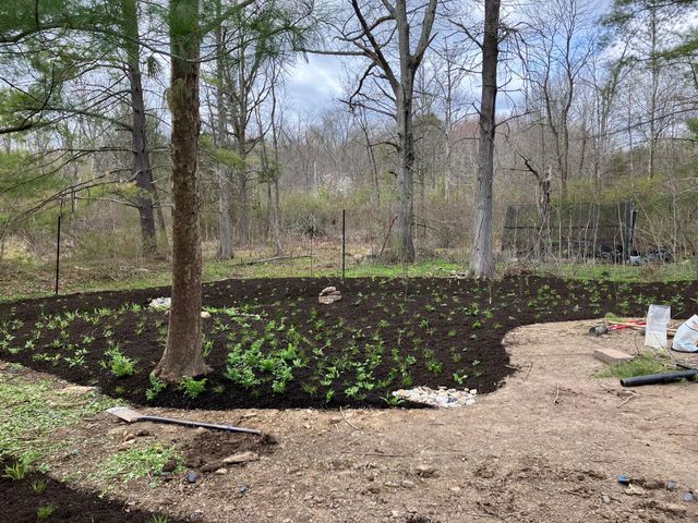 Habitat Restoration Volunteer Day 3